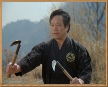 SOKE TERUO HAYASHI Founder, Hayashi-ha Shito-ryu Kai (From the documentary, “Budo: The Art of Killing”)